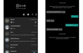 NSWhatsApp 3D APK