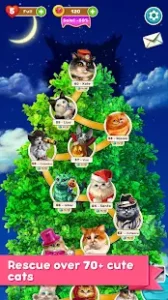 Cute Cats APK