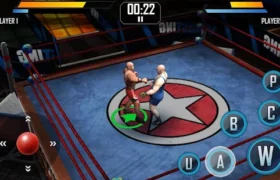 Real Wrestling 3D APK