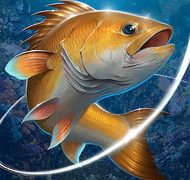 Fishing Hook MOD + APK 2.4.6 (Unlimited Money) on android