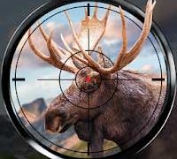 Wild Hunt Hunting Games 3D for Android MOD APK 1.518 (Money) free on freebrowsingcheat